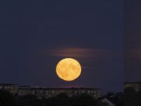 Moon perigeum Potatisåkern, Malmö, Skåne, Sweden 20220713_timepanorma