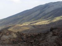 Etna Nord, Sicily, Italy 20110805 650