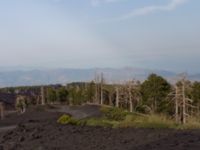 Etna Nord, Sicily, Italy 20110805 668