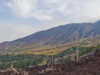 Etna Nord, Sicily, Italy 20110805 682