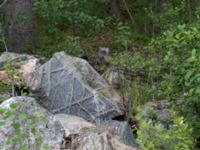 Stone Fjärilsvägen, Grinduga, Gävle, Gästrikland, Sweden 20150705_0445