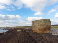 Glacial erratic Västra Hammaren, Rinkaby skjutfält, Kristianstad, Skåne, Sweden 20141129_0016