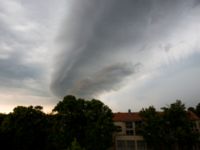 Arcus Potatisåkern, Malmö, Skåne, Sweden 20130619-1