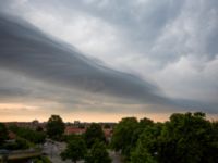 Arcus Potatisåkern, Malmö, Skåne, Sweden 20130619-14