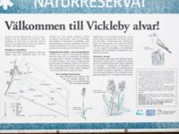 Vickleby alvar, Mörbylånga, Öland, Sweden 20180810_0239