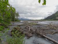 Exit Glacier road, Seward, Alaska, USA 20140615_0268514