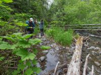 Indian Creek, Anchorage, Alaska, USA 20140615_0326-188