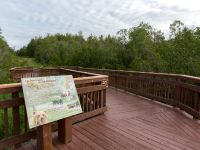 Potter Marshes, Anchorage, Alaska, USA 20140615_0308-153