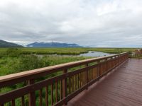 Potter Marshes, Anchorage, Alaska, USA 20140615_0309-155