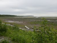 Tony Knowle Coastal Trail, Anchorage, Alaska, USA 20140614_0194