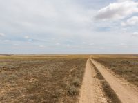 Donuzlav lake, Crimea, Russia 20150912_0338