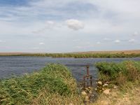 Donuzlav lake, Crimea, Russia 20150912_0342