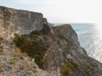 Olinovki, Crimea, Russia 20150911_0181