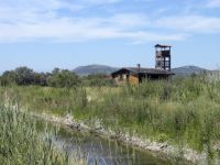 Vransko bird observatory, Croatia 20080711 539