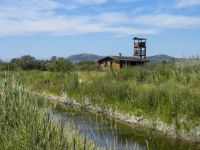 Vransko lake bird observatory, Croatia 20080711 539