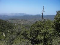 Mount Olympos, Cyprus 20070629 299