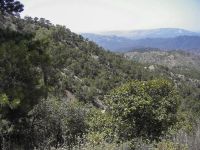 Mount Olympos, Cyprus 20070629 300