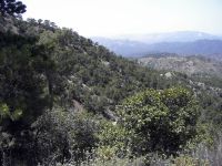 Trodos mountains, Cyprus 20070629 300