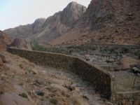 Upper valley Wadi Arbaein, Egypt 20090405 553