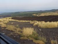 Etna Nord, Sicily, Italy 20110805 659