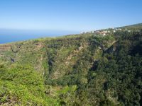 Barranco de Ruiz, Tenerife, Canary Islands, Spain 20110222 040